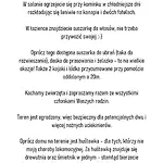 Ulazki17 - Stary, Tylko Odswiezony Dom Na Brzegu Jeziora W Sercu Lasu 什奇特诺