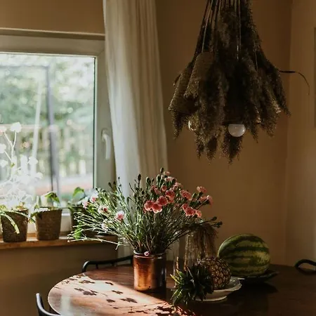 Ulazki17 - Stary, Tylko Odswiezony Dom Na Brzegu Jeziora W Sercu Lasu Casa vacanze