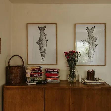 Ulazki17 - Stary, Tylko Odswiezony Dom Na Brzegu Jeziora W Sercu Lasu * Szczytno (Warmian-Masurian)