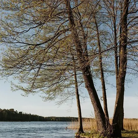 Ulazki17 - Stary, Tylko Odswiezony Dom Na Brzegu Jeziora W Sercu Lasu Szczytno (Warmian-Masurian)